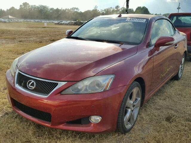 JTHFE2C27A2504537 - 2010 LEXUS IS 350 RED photo 2