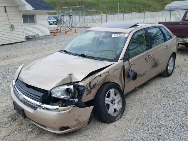 1G1ZU64804F227750 - 2004 CHEVROLET MALIBU MAX 金色 照片 2