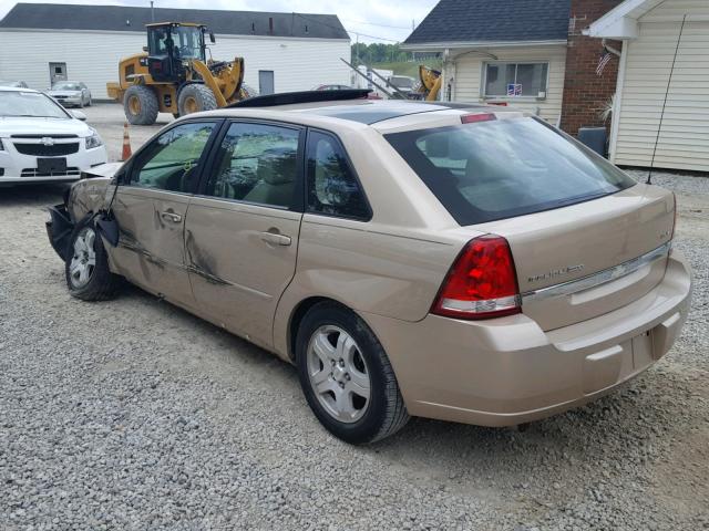 1G1ZU64804F227750 - 2004 CHEVROLET MALIBU MAX 金色 照片 3