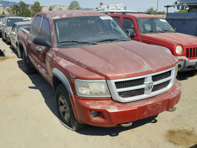 1D7HE78K18S561901 - 2008 DODGE DAKOTA TRX RED photo 1