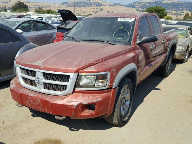 1D7HE78K18S561901 - 2008 DODGE DAKOTA TRX RED photo 2