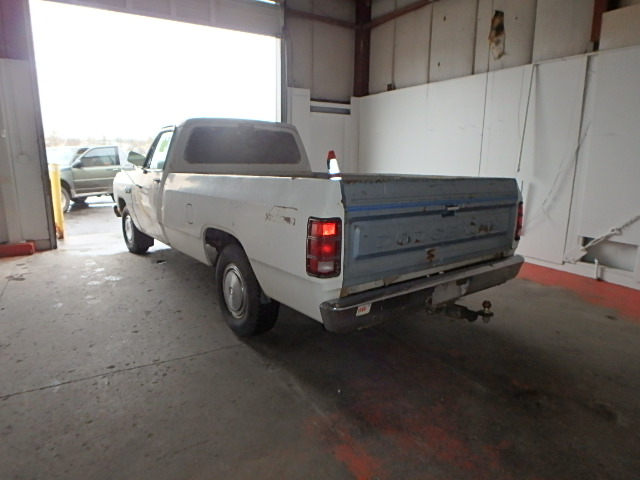 1B7GD14T2ES314130 - 1984 DODGE D-SERIES WHITE photo 3