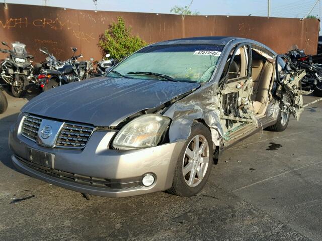 1N4BA41E46C852758 - 2006 NISSAN MAXIMA SE BEIGE photo 2