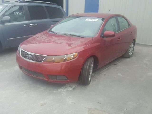 KNAFU4A24B5443969 - 2011 KIA FORTE EX BURGUNDY photo 2