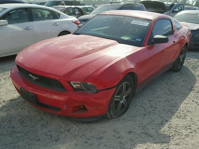 1ZVBP8AM1C5210986 - 2012 FORD MUSTANG RED photo 2