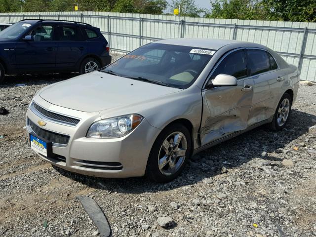 1G1ZC5EB8AF161371 - 2010 CHEVROLET MALIBU 1LT GOLD photo 2