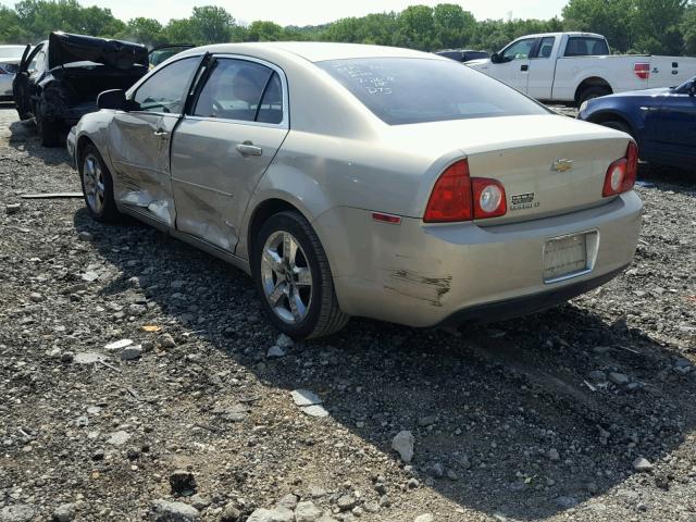 1G1ZC5EB8AF161371 - 2010 CHEVROLET MALIBU 1LT GOLD photo 3