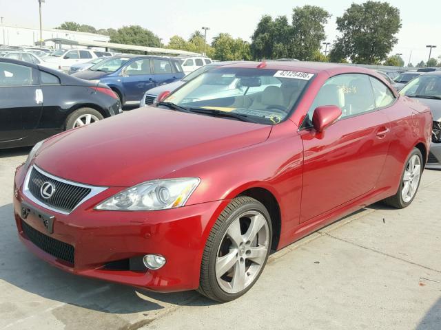 JTHFE2C23A2502798 - 2010 LEXUS IS 350 RED photo 2