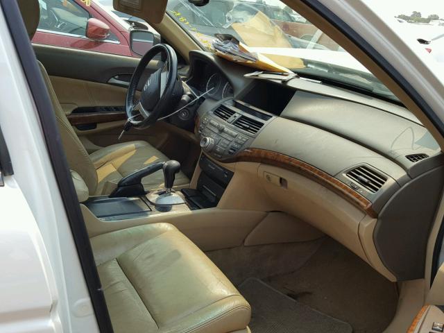 1HGCP36889A017466 - 2009 HONDA ACCORD EXL WHITE photo 5