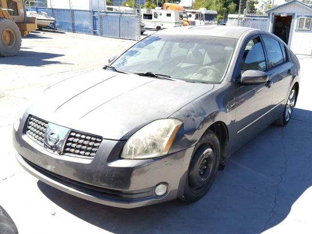 1N4BA41E05C824146 - 2005 NISSAN MAXIMA SE GRAY photo 2