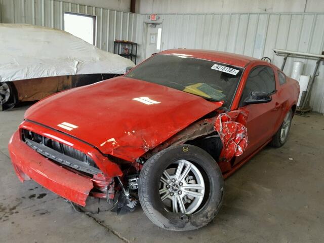 1ZVBP8AM2E5310923 - 2014 FORD MUSTANG RED photo 2