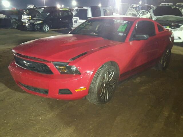 1ZVBP8AM6B5109389 - 2011 FORD MUSTANG RED photo 2