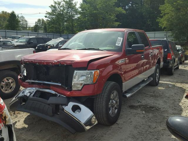 1FTFW1EF3BKD63945 - 2011 FORD F150 SUPER RED photo 2