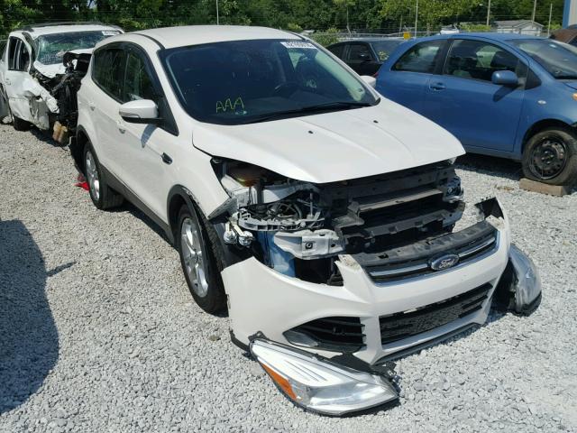 1FMCU0HX9DUA33950 - 2013 FORD ESCAPE SEL WHITE photo 1