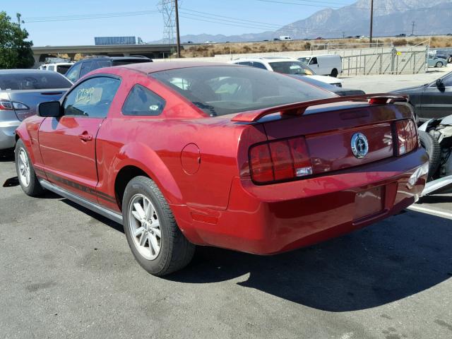 1ZVFT80N255139873 - 2005 FORD MUSTANG RED photo 3