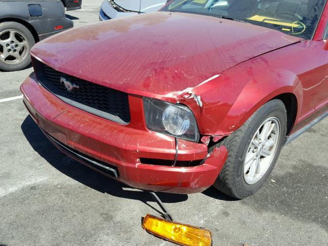 1ZVFT80N255139873 - 2005 FORD MUSTANG RED photo 9