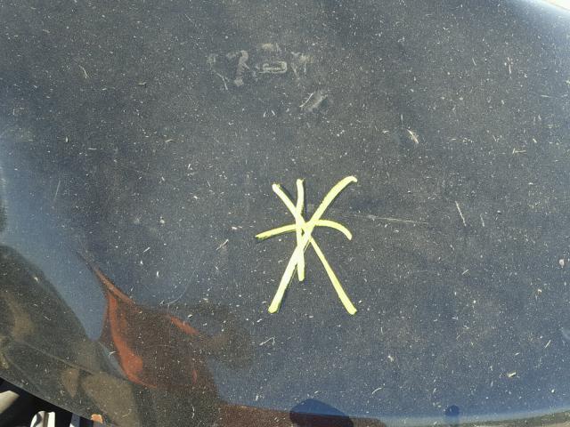 1G1ZT64804F148257 - 2004 CHEVROLET MALIBU MAX BLACK photo 7