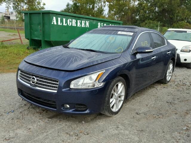 1N4AA5AP9BC844295 - 2011 NISSAN MAXIMA BLUE photo 2