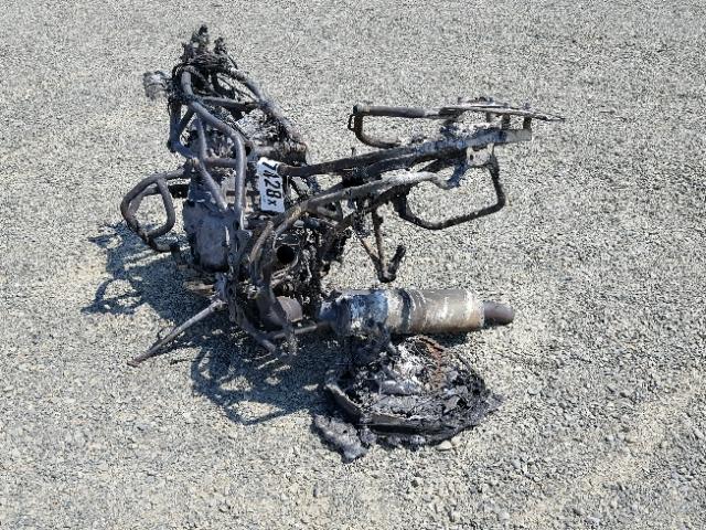 WB10229089ZU00824 - 2009 BMW F800 GS BURN photo 3