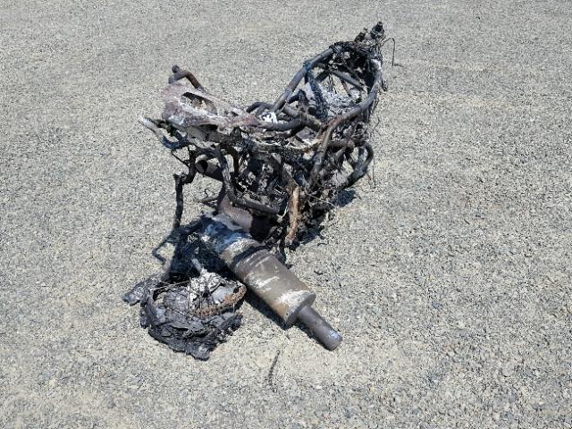 WB10229089ZU00824 - 2009 BMW F800 GS BURN photo 4