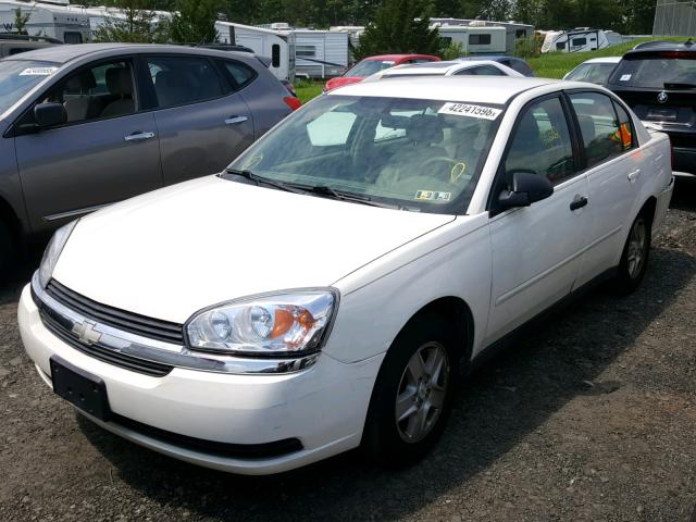 1G1ZT54814F119912 - 2004 CHEVROLET MALIBU LS თეთრი ფოტო 2