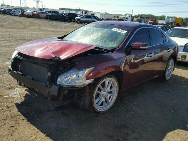 1N4AA5AP5AC805153 - 2010 NISSAN MAXIMA MAROON photo 2