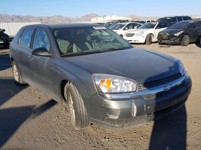 1G1ZT62884F228036 - 2004 CHEVROLET MALIBU MAX ნაცრისფერი ფოტო 1