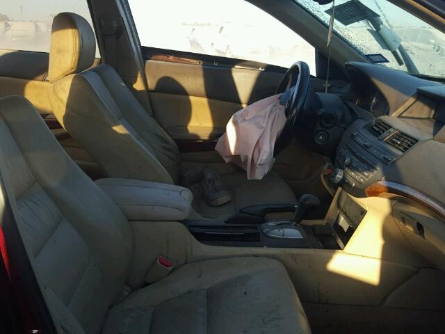 1HGCP26849A132897 - 2009 HONDA ACCORD EXL Bordo foto 5