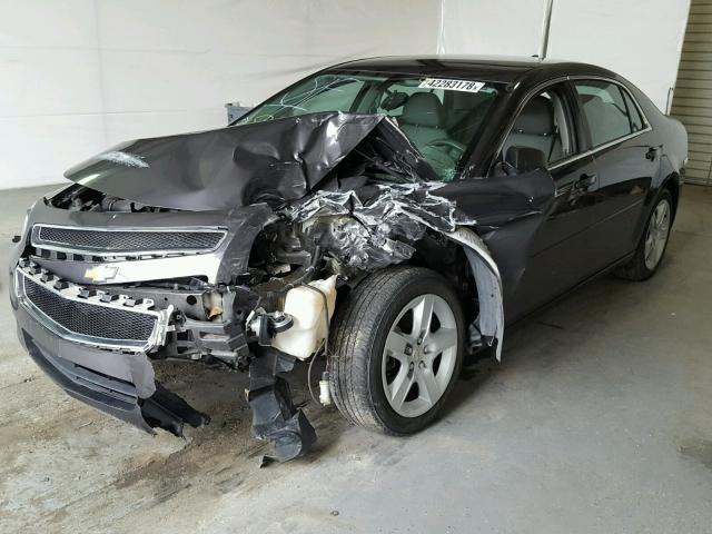 1G1ZA5EU2CF388341 - 2012 CHEVROLET MALIBU LS Boz foto 2