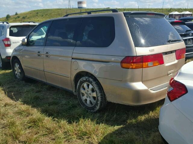 2HKRL180X2H563460 - 2002 HONDA ODYSSEY EX TAN photo 3