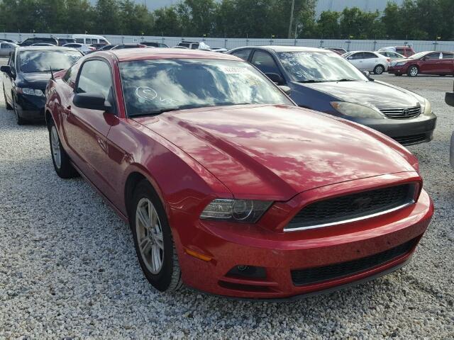 1ZVBP8AM5D5277415 - 2013 FORD MUSTANG RED photo 1
