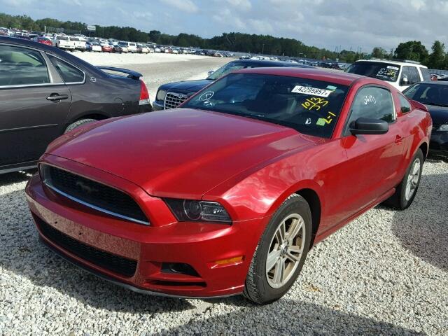 1ZVBP8AM5D5277415 - 2013 FORD MUSTANG RED photo 2