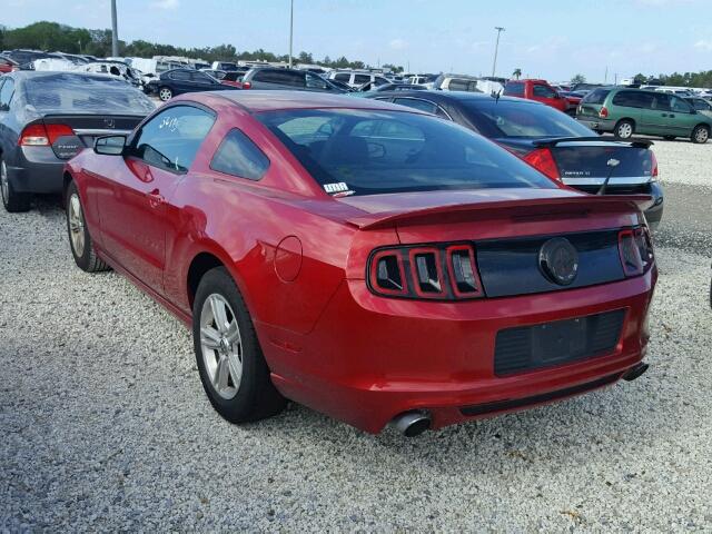 1ZVBP8AM5D5277415 - 2013 FORD MUSTANG RED photo 3