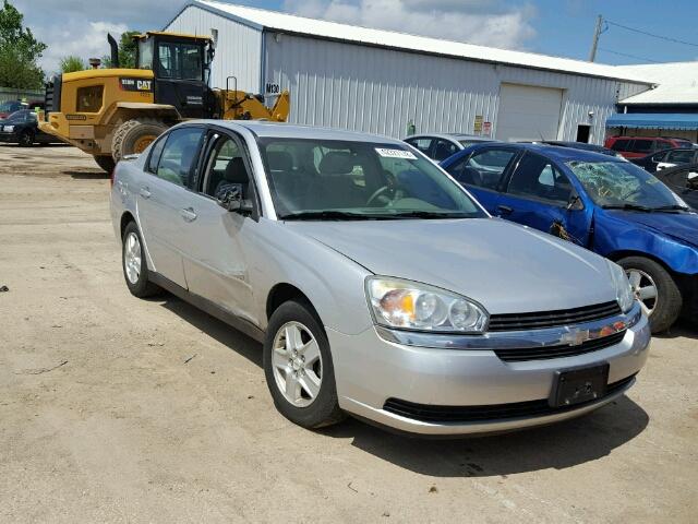 1G1ZT54824F191394 - 2004 CHEVROLET MALIBU LS SILVER photo 1