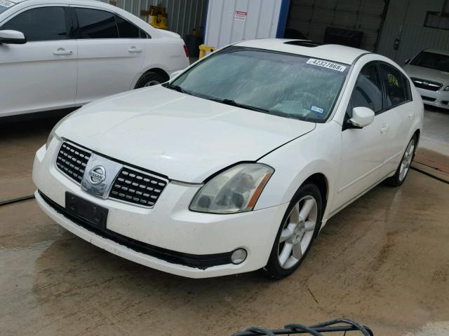 1N4BA41E34C825175 - 2004 NISSAN MAXIMA SE WHITE photo 2