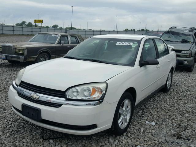 1G1ZT54835F203635 - 2005 CHEVROLET MALIBU LS თეთრი ფოტო 2