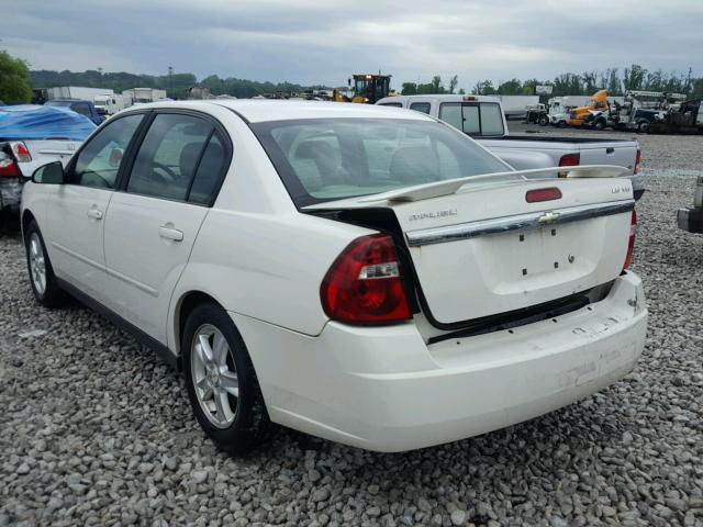 1G1ZT54835F203635 - 2005 CHEVROLET MALIBU LS თეთრი ფოტო 3