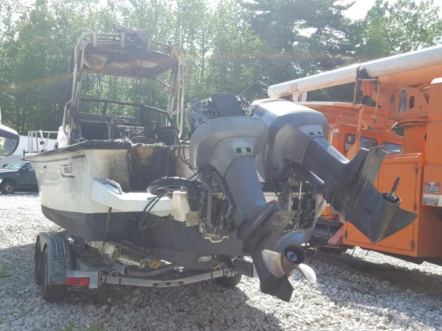 BWCFA010E191 - 1991 BIG DOG ALL MODELS 米色 照片 3