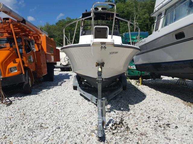 BWCFA010E191 - 1991 BIG DOG ALL MODELS 米色 照片 5