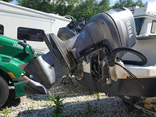 BWCFA010E191 - 1991 BIG DOG ALL MODELS 米色 照片 7