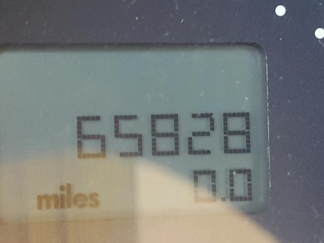 3VWCM31Y84M333750 - 2004 VOLKSWAGEN NEW BEETLE 米色 照片 8