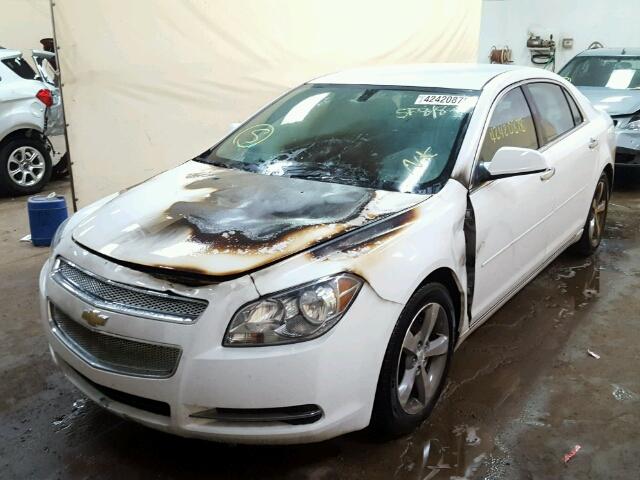 1G1ZC5EU0CF268953 - 2012 CHEVROLET MALIBU 1LT თეთრი ფოტო 2