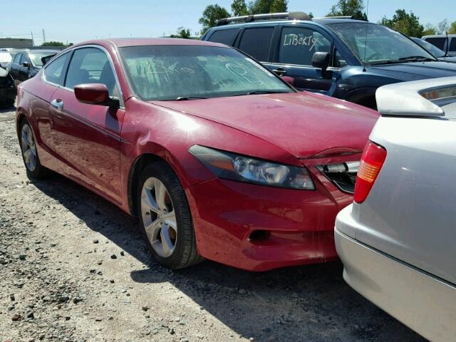 1HGCS2B81CA002992 - 2012 HONDA ACCORD RED photo 1