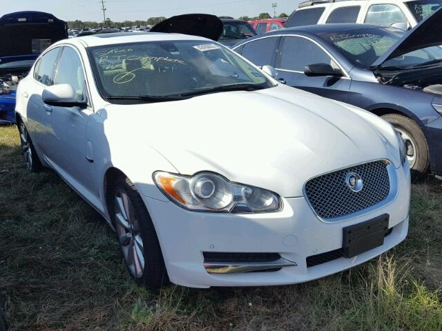 SAJWA0GB3BLR85993 - 2011 JAGUAR XF PREMIUM WHITE photo 1