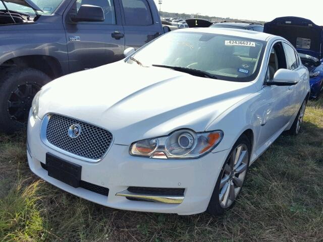 SAJWA0GB3BLR85993 - 2011 JAGUAR XF PREMIUM WHITE photo 2