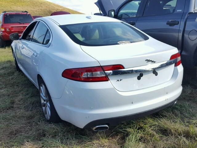 SAJWA0GB3BLR85993 - 2011 JAGUAR XF PREMIUM WHITE photo 3