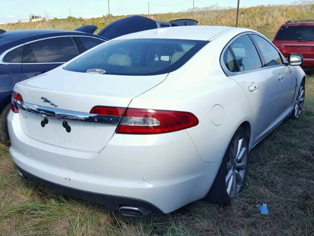 SAJWA0GB3BLR85993 - 2011 JAGUAR XF PREMIUM WHITE photo 4