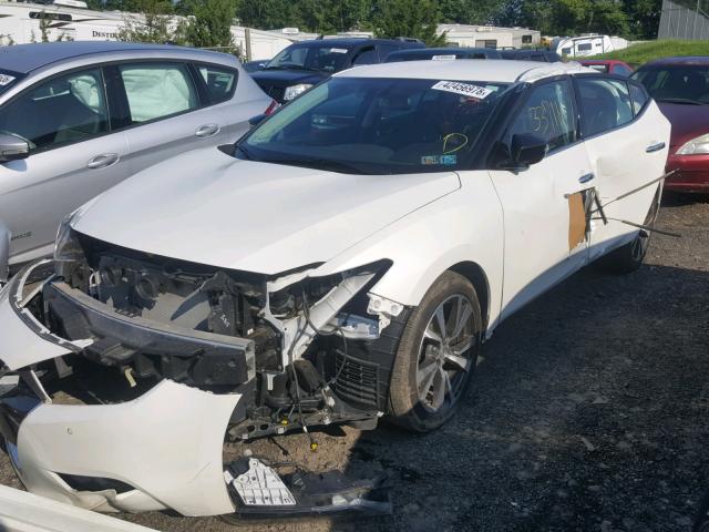 1N4AA6AP8GC430275 - 2016 NISSAN MAXIMA 3.5 WHITE photo 2