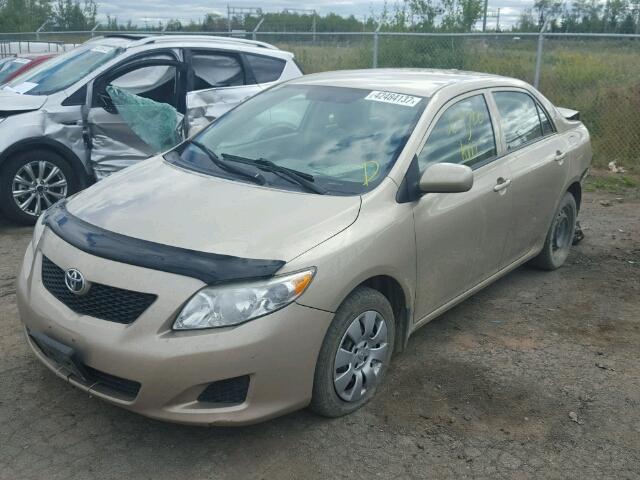 2T1BU40E29C033066 - 2009 TOYOTA COROLLA BA BEIGE photo 2