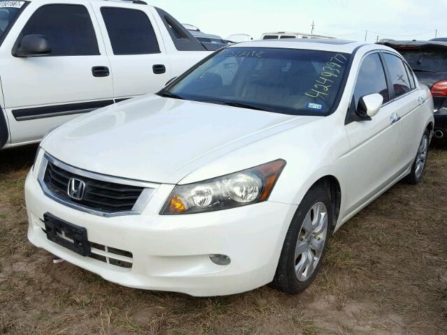 1HGCP36888A028692 - 2008 HONDA ACCORD YELLOW photo 2